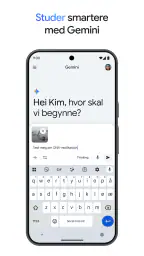 Google Gemini screenshot