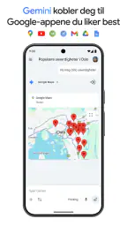 Google Gemini screenshot