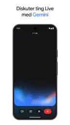 Google Gemini screenshot