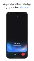 Google Gemini screenshot