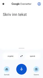 Google Oversetter screenshot