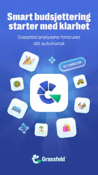 Grassfeld - Budsjett & økonomi screenshot