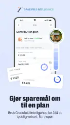 Grassfeld - Budsjett & økonomi screenshot
