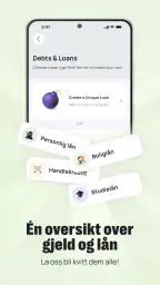 Grassfeld - Budsjett & økonomi screenshot