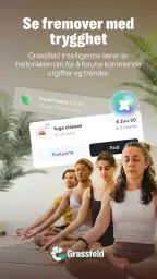 Grassfeld - Budsjett & økonomi screenshot