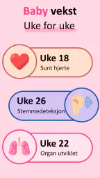 gravid app & gravidkalender screenshot