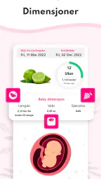 Graviditets kalender Ukentlig screenshot