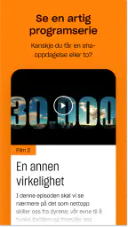 Grubl screenshot