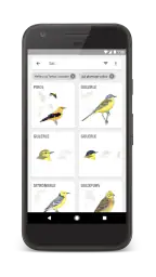 Gyldendals Store Fugleguide screenshot