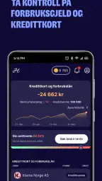 Horde - Sjef i egen økonomi screenshot