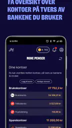 Horde - Sjef i egen økonomi screenshot
