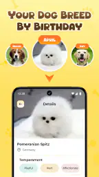 Human to Dog Translator screenshot