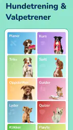 Hundeo - Hundetrening screenshot