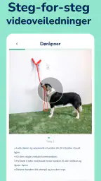Hundeo - Hundetrening screenshot