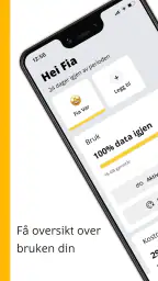 ice screenshot
