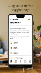 ice screenshot