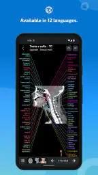 IMAIOS e-Anatomy screenshot