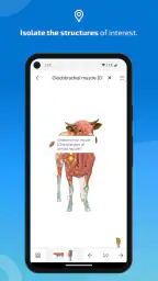 IMAIOS vet-Anatomy screenshot