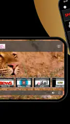 IPTV Streamer screenshot