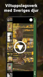 Jägarexamen screenshot