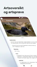 Jegerappen - Bestå jegerprøven screenshot