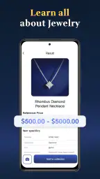 Jewelry Identifier Gem Scanner screenshot