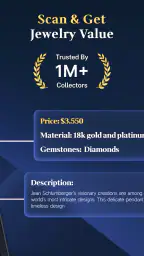 Jewelry Identifier Gem Scanner screenshot