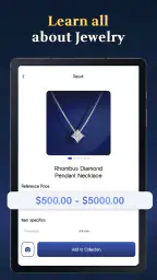 Jewelry Identifier Gem Scanner screenshot