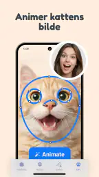 Katte Oversetter – Kattespråk screenshot