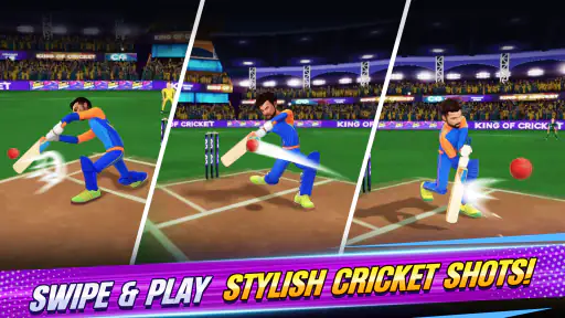 King Of Cricket Games screenshot