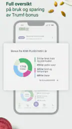 KIWI PLUSS screenshot