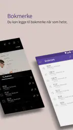 KMPlayer Plus (Divx Codec) screenshot