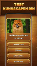 Kunnskapens Tre: Trivia Blocks screenshot