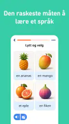 Lær norsk kurs - 11 000 ord screenshot