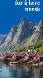 Lær norsk - nybegynnere screenshot