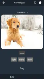 Lær norsk på dansk screenshot