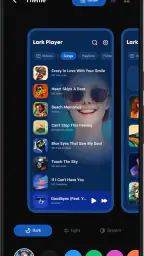 Lark Player: Musikkspiller MP3 screenshot