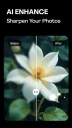 Lumina Photo: AI Face Editor screenshot