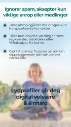 Lydprofiler screenshot