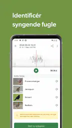 Merlin Bird ID af Cornell Lab screenshot