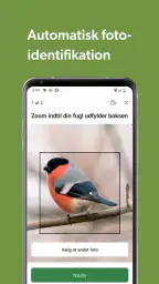 Merlin Bird ID af Cornell Lab screenshot