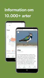 Merlin Bird ID af Cornell Lab screenshot