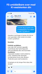 Messenger screenshot