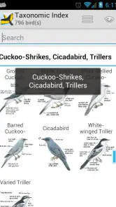 Morcombe's Birds of Australia screenshot