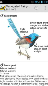Morcombe's Birds of Australia screenshot