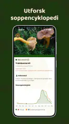 Mushroom Spot: soppkart screenshot