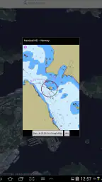 NaVida screenshot