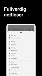 Nettleser screenshot