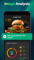 Open Chat - AI bot app screenshot