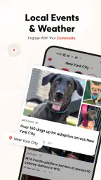 Opera News: breaking & local screenshot